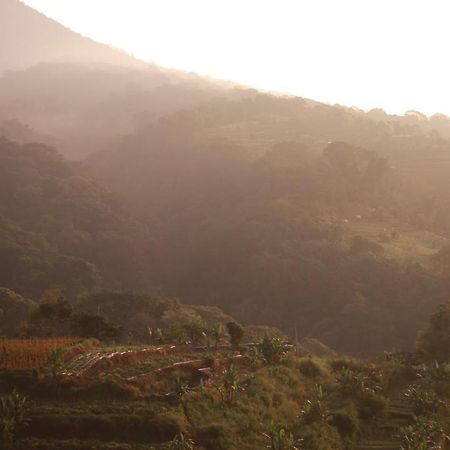 Pondok Kebun Gunung Бедугул Екстериор снимка